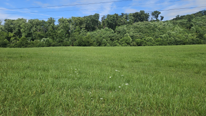 Lester Jarnigan Tract 3