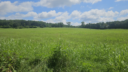 Lester Jarnigan Tract 4