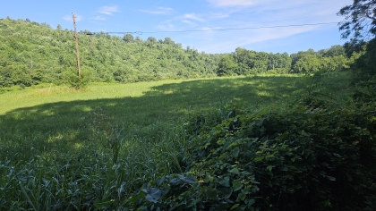 Lester Jarnigan Tract 7