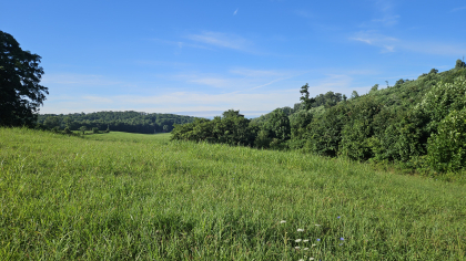 Lester Jarnigan Tract 8