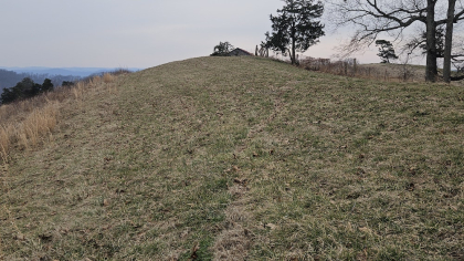 Oak Hill Farms Tract 24