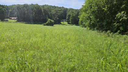 Lester Jarnigan Tract 1