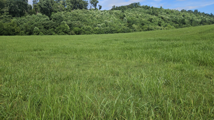 Lester Jarnigan Tract 3