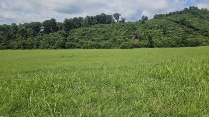 Lester Jarnigan Tract 4