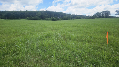 Lester Jarnigan Tract 5