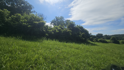 Lester Jarnigan Tract 6
