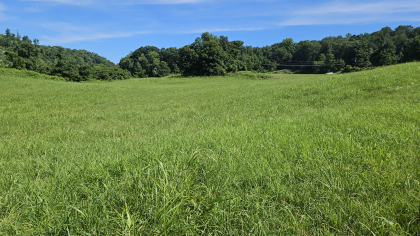 Lester Jarnigan Tract 7