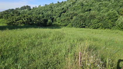 Lester Jarnigan Tract 8