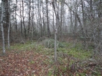 Four Creeks Tract 15
