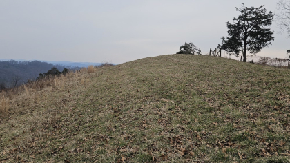 Oak Hill Farms Tract 24