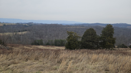 Oak Hill Farms Tract 25