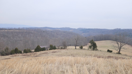 Oak Hill Farms Tract 26