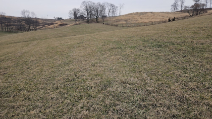 Oak Hill Farms Tract 22