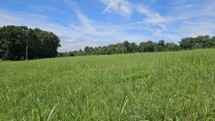 Lester Jarnigan Tract 1