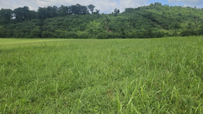 Lester Jarnigan Tract 4