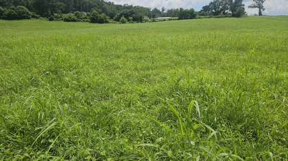 Lester Jarnigan Tract 5