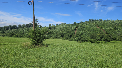 Lester Jarnigan Tract 7