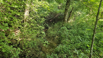 Lester Jarnigan Tract 10