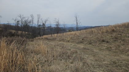 Oak Hill Farms Tract 23