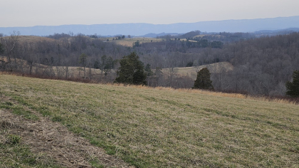 Oak Hill Farms Tract 24