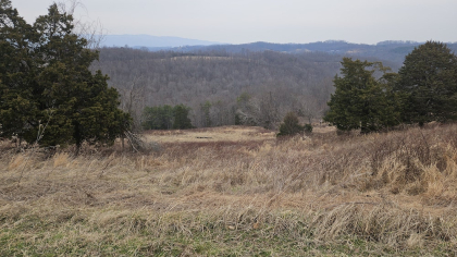 Oak Hill Farms Tract 25