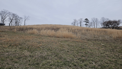 Oak Hill Farms Tract 22