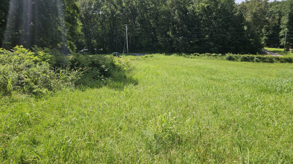 Lester Jarnigan Tract 1