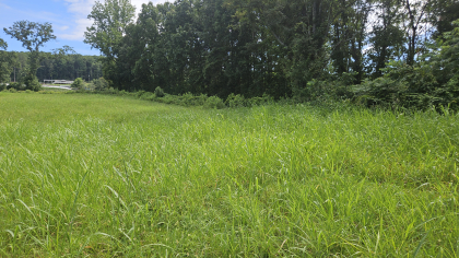 Lester Jarnigan Tract 3
