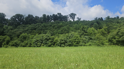 Lester Jarnigan Tract 4