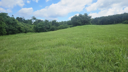Lester Jarnigan Tract 5