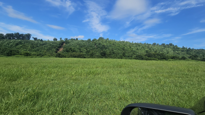Lester Jarnigan Tract 6