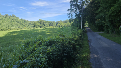 Lester Jarnigan Tract 7