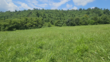 Lester Jarnigan Tract 8