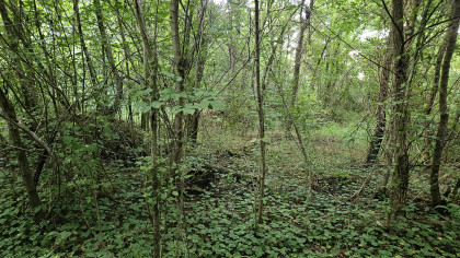 Lester Jarnigan Tract 9