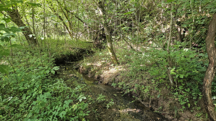 Lester Jarnigan Tract 10