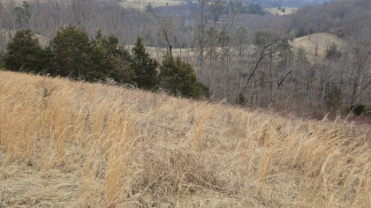 Oak Hill Farms Tract 23