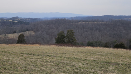 Oak Hill Farms Tract 24