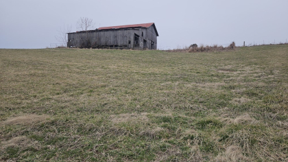 Oak Hill Farms Tract 25