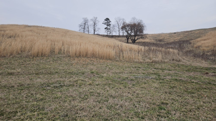 Oak Hill Farms Tract 22