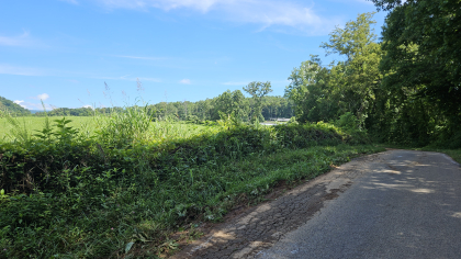 Lester Jarnigan Tract 3