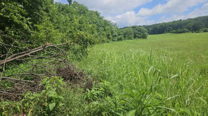 Lester Jarnigan Tract 4