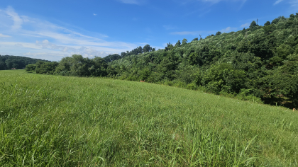 Lester Jarnigan Tract 6