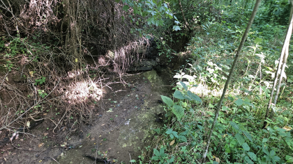 Lester Jarnigan Tract 9