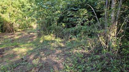 Lester Jarnigan Tract 10