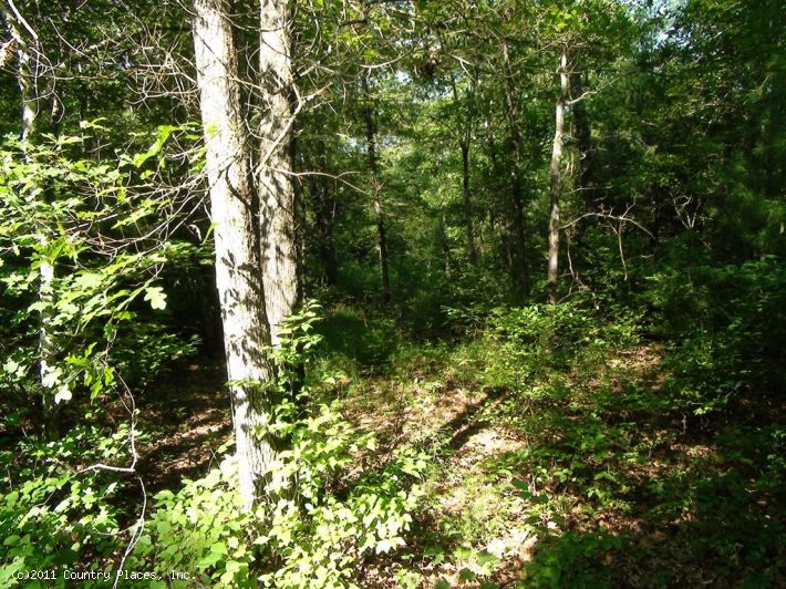 Four Creeks Tract 13