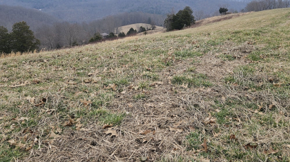 Oak Hill Farms Tract 24