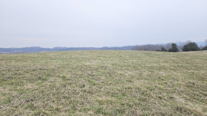 Oak Hill Farms Tract 26