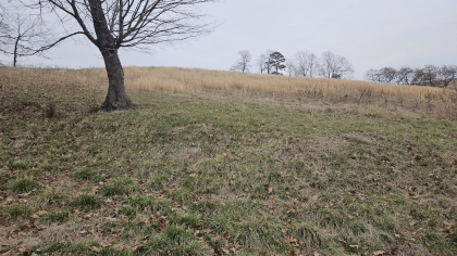 Oak Hill Farms Tract 22