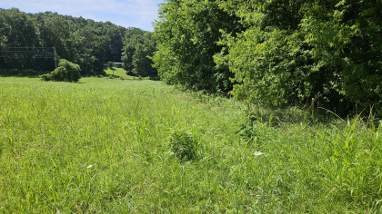 Lester Jarnigan Tract 1