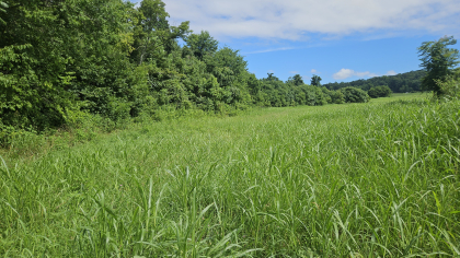 Lester Jarnigan Tract 3